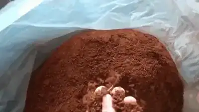 Pó de coco Carve — saco de 100 L